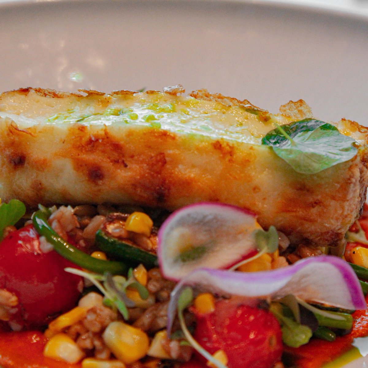 Versantehotel's tweet photo. Savour the flavours of the season at Bruno with a summer menu designed to intrigue and delight.⁠
⁠
Local ingredients, responsibly sourced Ocean Wise seafood, and innovative recipes make for a remarkable experience. View menu: https://t.co/ScbCm9u1NC #findyourselfhere https://t.co/ldZyQxR81Y