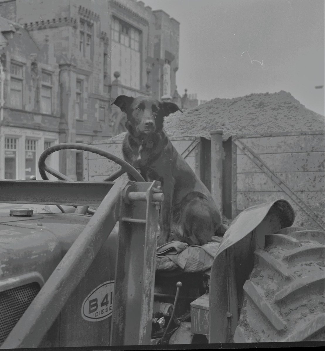 Dr Francis Osis tweet media