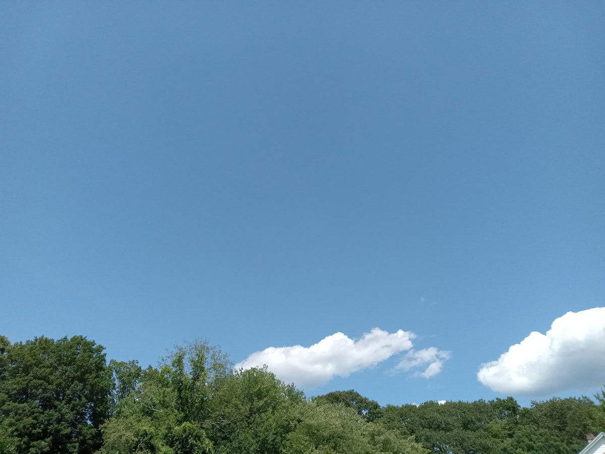 pilotjanlucas_'s tweet image. A beautiful, non, humid day here in Montville, Connecticut.
A comfortable 81° with a nice light breeze of 7 mph its annoying when ur trying to smoke a bowl of weed tho blows out the lighter 😮‍💨😂 #WeedProblems rnt the worst things in 🗺  not having any bud is a way bigger problem