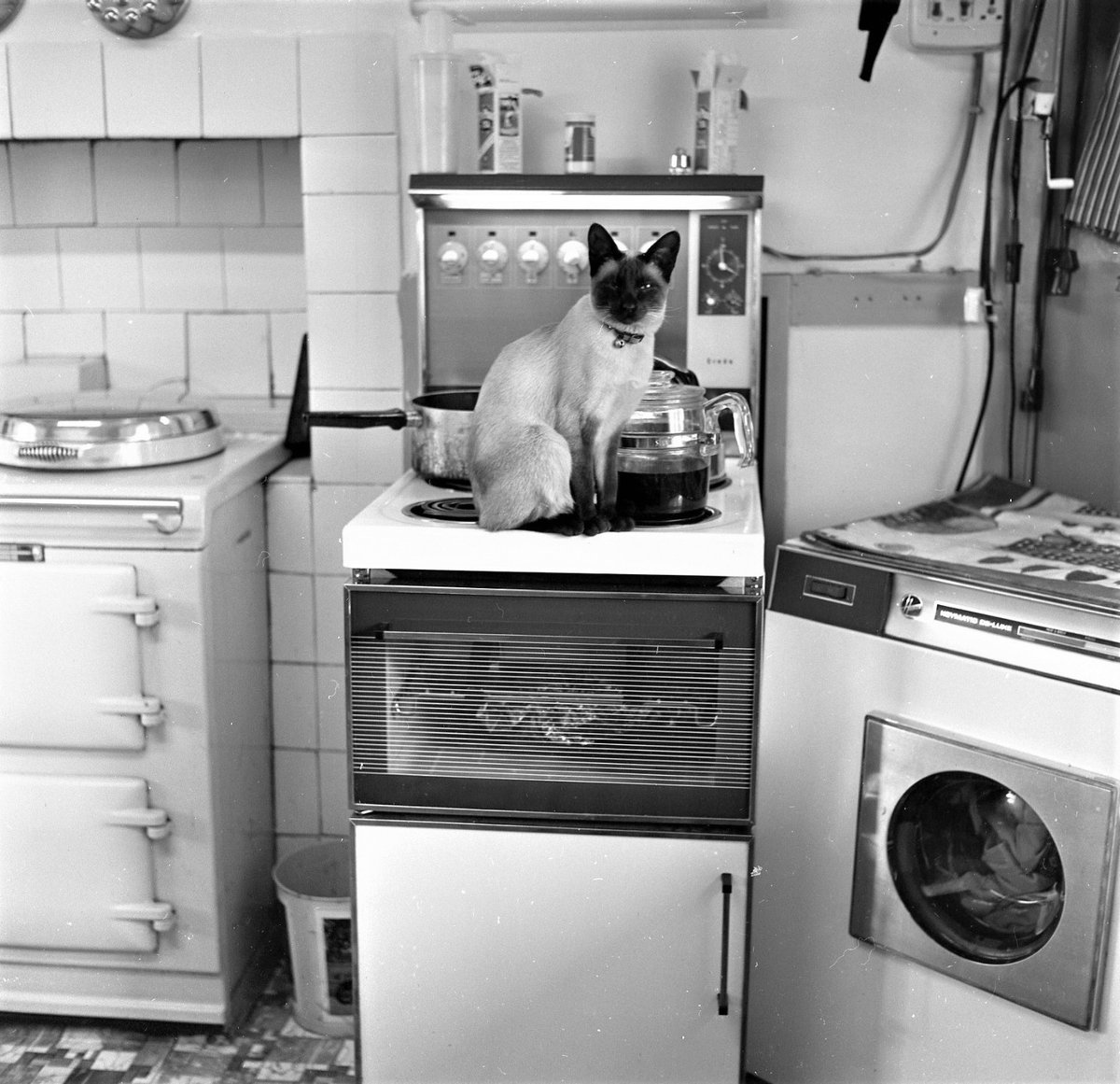 Dr Francis Osis tweet media