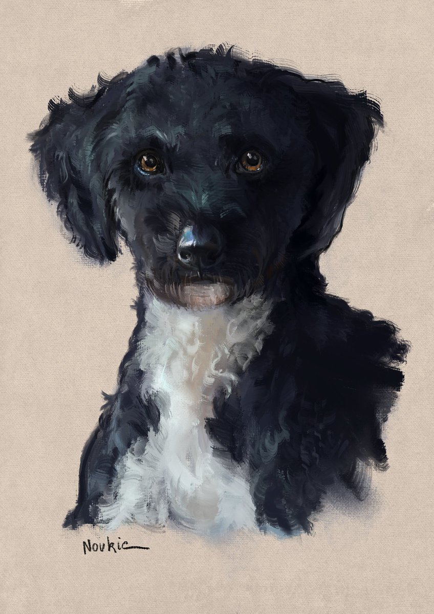 Noukiesart's tweet photo. Hi Twitter! Or should I say X lol… Here’s a doggy commission I had the pleasure of painting 🤎🐶 https://t.co/8nb9amhbEm