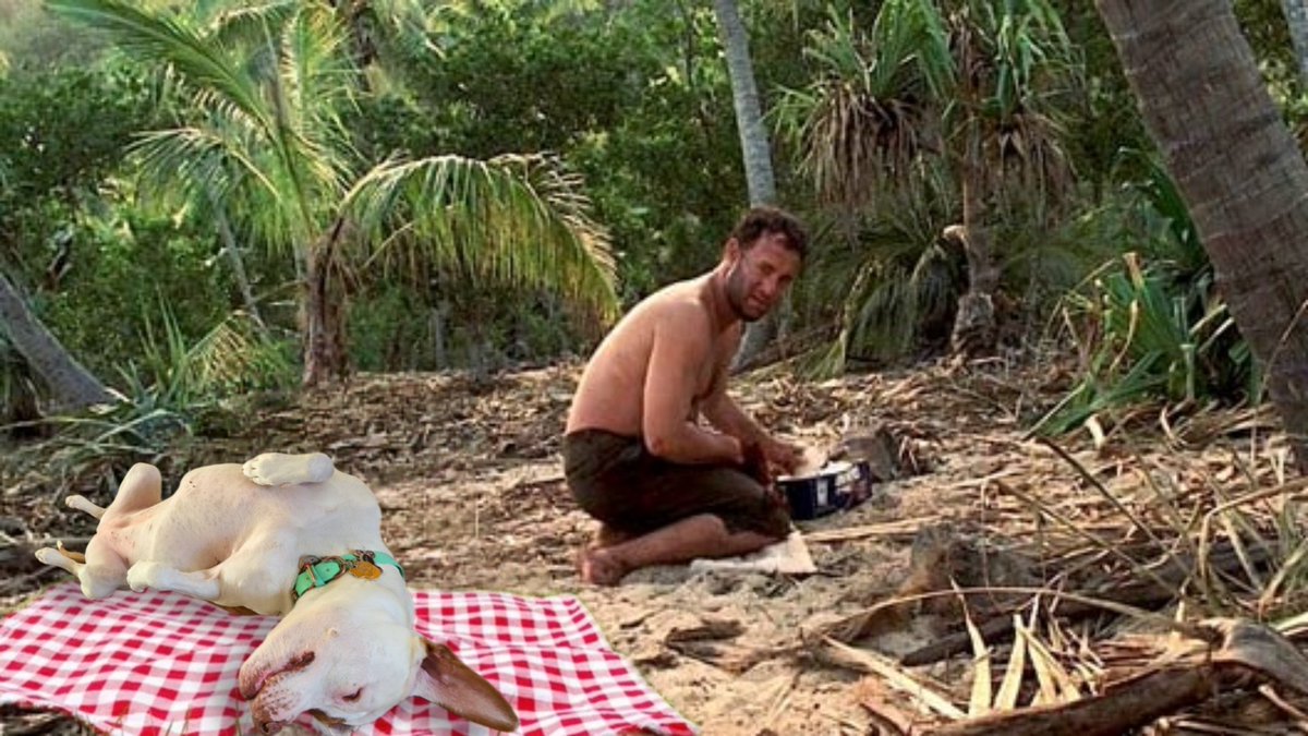 Well.... I fought da island was delightfuls! 🏝🐾 
.
.
.
.
.
<a href="/tomhanks/">Tom Hanks</a> #tomhanks #castaway #island #stranded #sunshine #survive #sharkweek    #dogs #DogsofTwittter #DogsOnTwitter #dogsoftwitter #pitbull #dog #rednose #vacation #vaycay #love #screen #onset #this #dogsonfacebook
