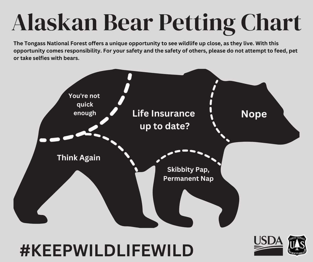 “skibbity pap, permanent nap” is pure comedy gold. 😂😂😂😂 thanks <a href="/forestservice/">USDA Forest Service</a>