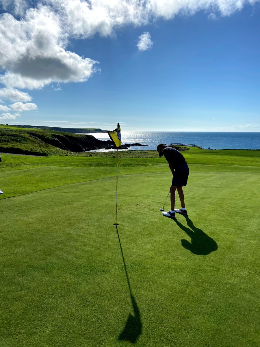 Matt Coley tweet media