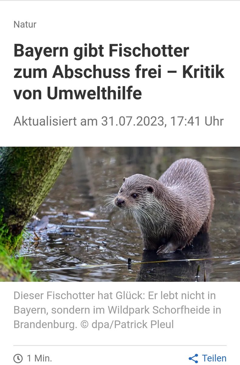 Bayern gibt Fischotter zum Abschuss frei

Nur nicht zuviel Natur.
Nicht dass die Otter noch ein paar Fische fressen

Danke #Soeder #csu
web.de/magazine/wisse…
