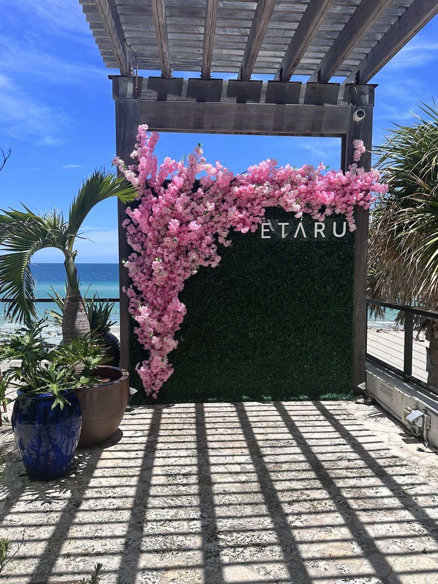 Not a bad view for a Monday lunch <a href="/ETARURestaurant/">ETARU Restaurant</a> 💙