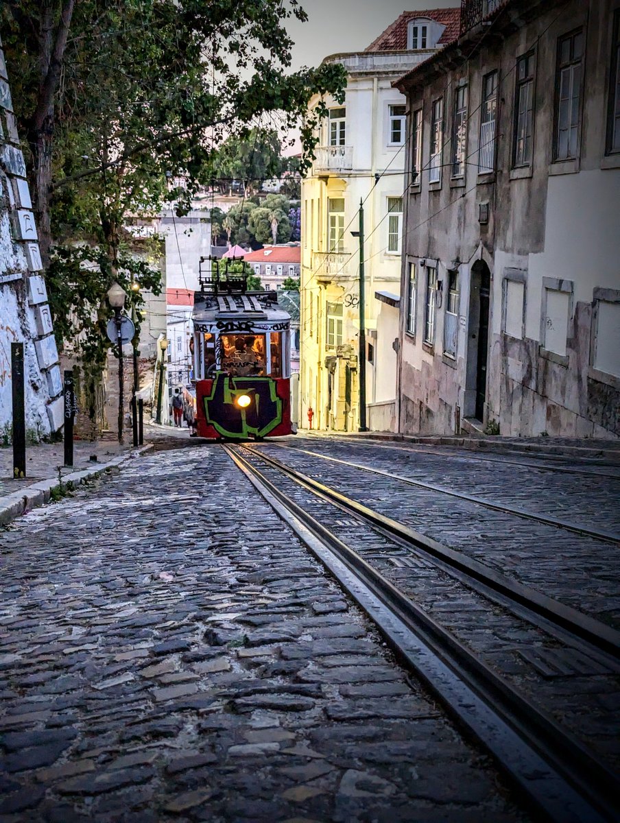 A memory from my recent trip to the wonderful #Lisbon, the capital of #Portugal. The city is very beautiful ❤️ and the food is great. The seafood was so nice and fresh. I definitely recommend you visiting it!

#tram #travel #TravelPortugal #TravelLisbon #travelphotography