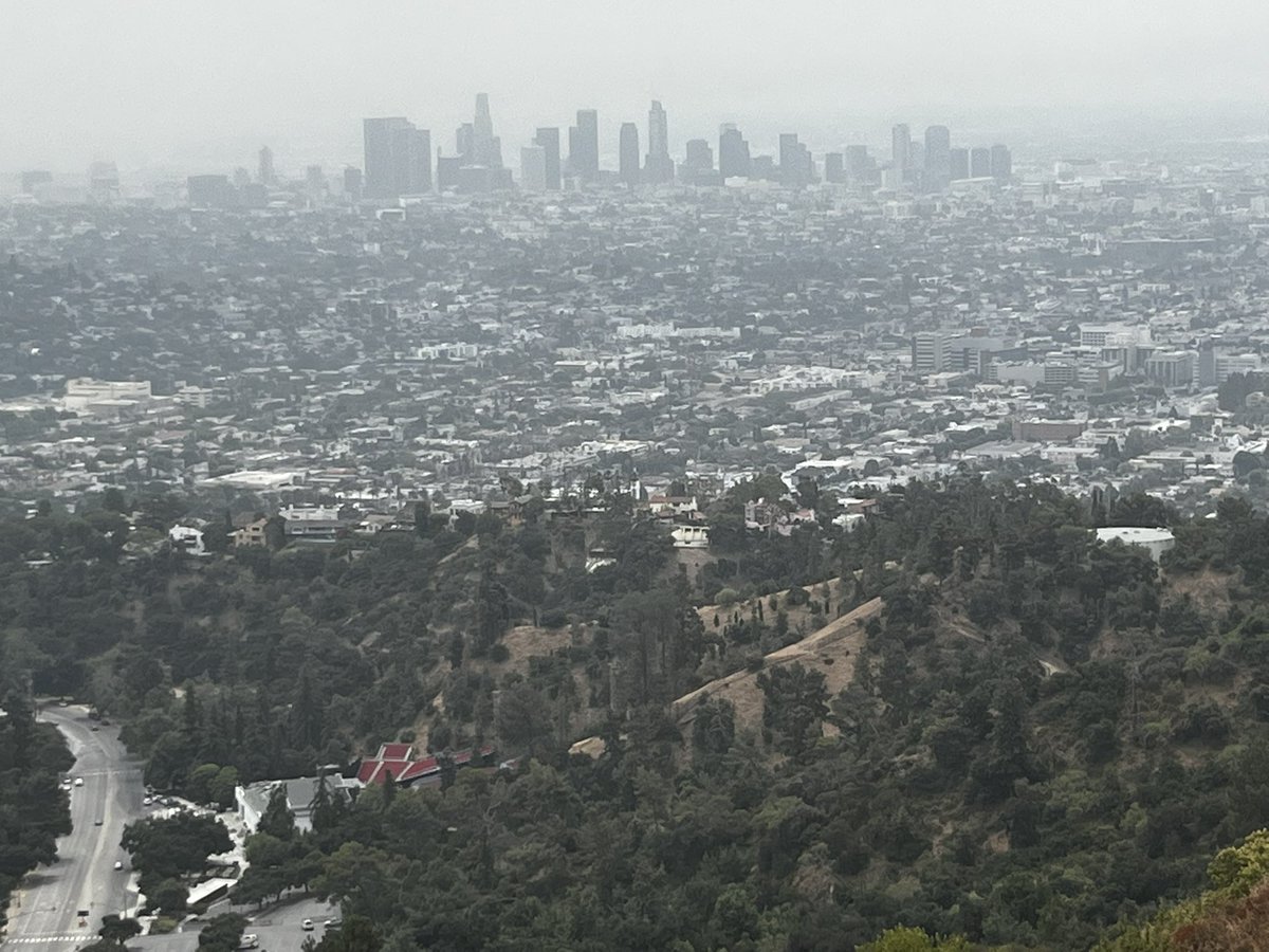 RealtorRogee's tweet photo. Hiking Griffith Park with Views of Los Angeles Landmarks https://t.co/uWPL1oKPno