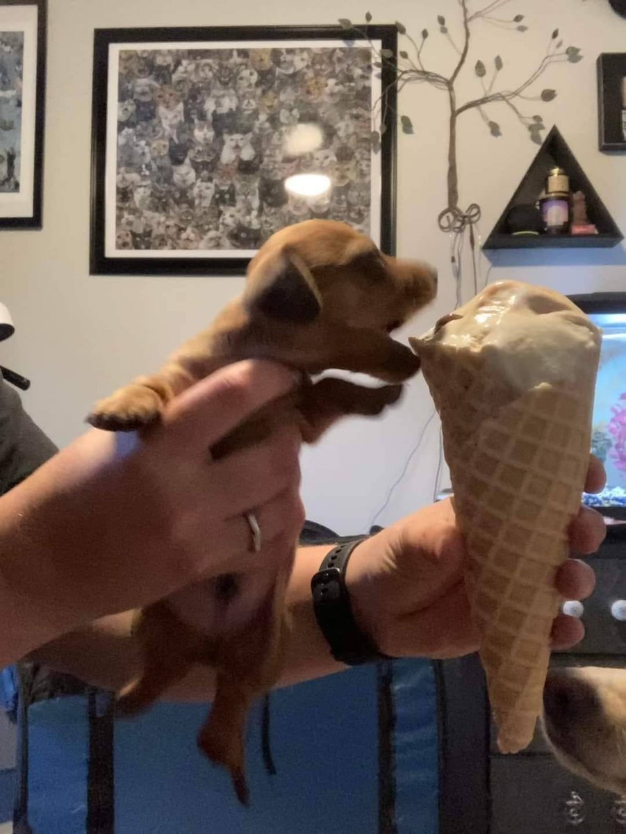 DISCLAIMER:

Fan Account

Due to Twitter’s new policy, I’m posting a disclaimer that I am not affiliated with any of the celebrities or shows I post about. This account is not affiliated with any of them. This is purely a fan account for entertainment purposes only.