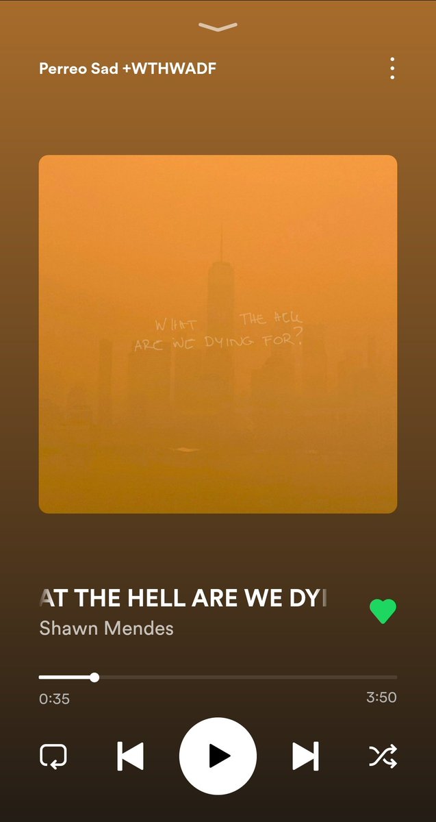 Mu_InWonder's tweet photo. @todaystophits #WTHAWDF 🧡 by #ShawnMendes
 #TodaysTopHits https://t.co/M2hCtitrmY