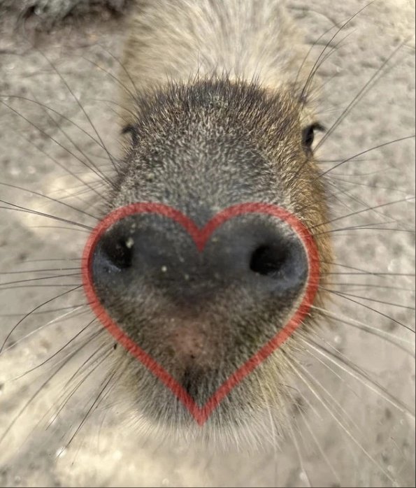 embodimentoflen's tweet photo. @lupineMyFlower Мерси, моя хорошая🥺🥰 https://t.co/9kSnbf5BG7