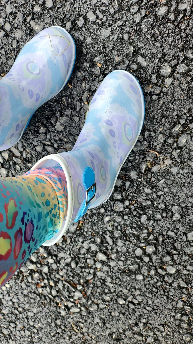 borderline_babe's tweet image. #puddlejumping but my pug walks round puddles 🤣🤣🤣 #walkingintherain 
#wellybobs