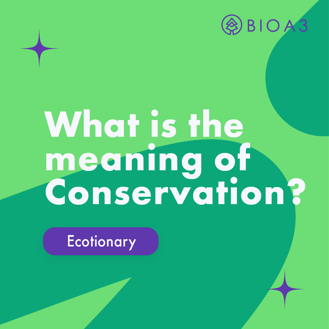 BioA3_Official's tweet photo. #Ecotionary: To continue differentiating between terms, this one is often confused or interchanged with "preservation" (which we explained in our last Ecotionary), so what does it actually mean?

📍 Follow us: https://t.co/r5GYDGvV4k
#bioa3 #cryptonews #crypto #altcoin https://t.co/f3IavB6U3C
