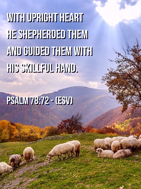 G’night Fishers of Men🪝✝️ Submit your judgment to the Spirit of GOD. He guides us, often by circumstances. And they begin to multiply as we advance toward our goal, just as the lights do as we near a populous town, when darting through the land by night express. ~ F. B. Meyer