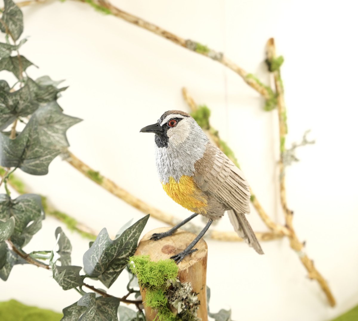 Hello #sciart community, excited to be sharing my work at GNSI's 2023 Visual SciComm Conference! As a visual science communicator I realistically replicate 3 dimensional birds and animals . Sharing some images of my work below. #SciArtPortfolioWeek <a href="/GNSIorg/">Guild of Natural Science Illustrators</a>