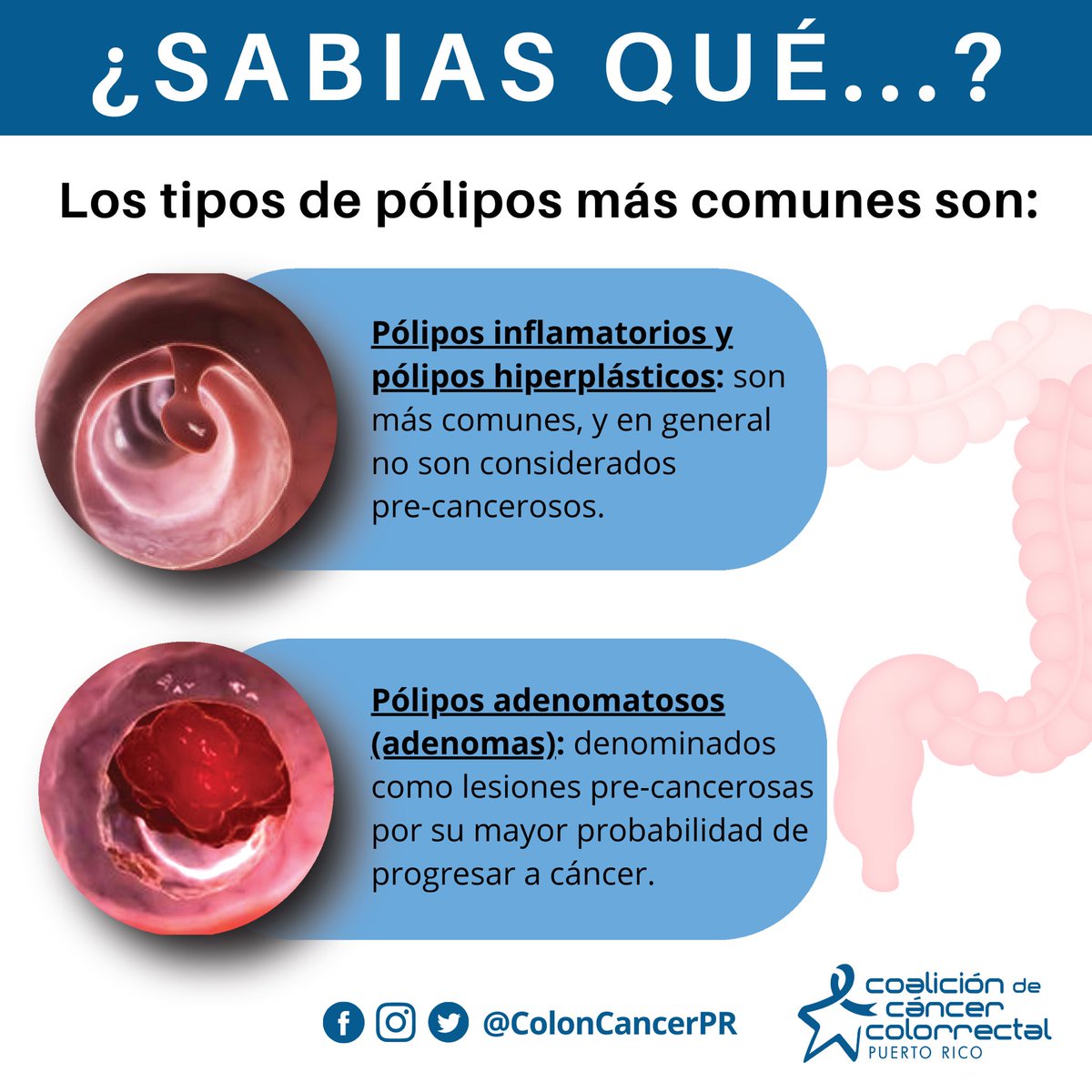 ColonCancerPR's tweet photo. Cuida de tu salud y conoce más sobre el Cáncer Colorrectal. #ColonCancerPR https://t.co/EOoIfLff9v
