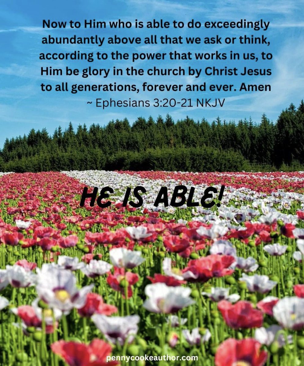 penny_cooke's tweet image. Imagine when we get to Heaven and we see all the "exceedingly abundantly above" He did, when we didn't even think our prayer was answered.
#prayer #HeIsAble #pursuingprayer