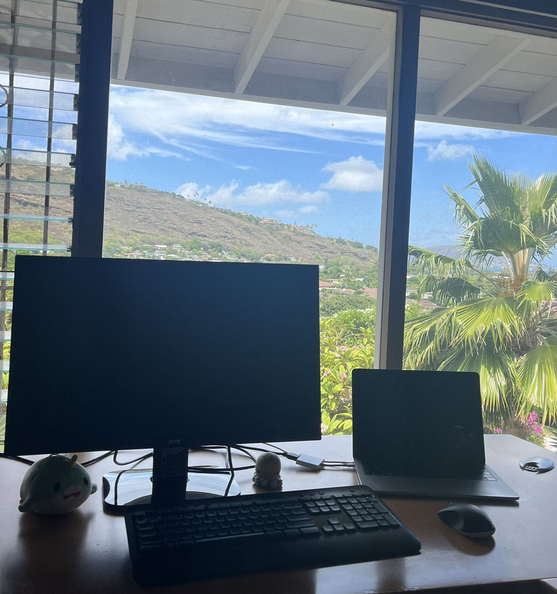 Pretty great view from my new home office back in the ʻĀina 🥰
<a href="/MARISLabs/">MARIS Lab</a> <a href="/UniSAFII/">UniSA Future Industries Institute</a> <a href="/UniversitySA/">UniSA</a> 
#phdlife #homeoffice #hawaii