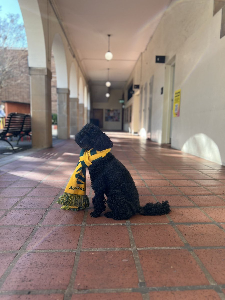 Vic Rawlings (@vic_rawlings) on Twitter photo Even the dog with parents from New Zealand is on the MATILDAS TRAIN this morning! And this train has NO BRAKES! <a href="/SSSHARC/">SSSHARC at Sydney</a> <a href="/Sydney_Uni/">University of Sydney</a> Even the dog with parents from New Zealand is on the MATILDAS TRAIN this morning! And this train has NO BRAKES! <a href="/SSSHARC/">SSSHARC at Sydney</a> <a href="/Sydney_Uni/">University of Sydney</a>