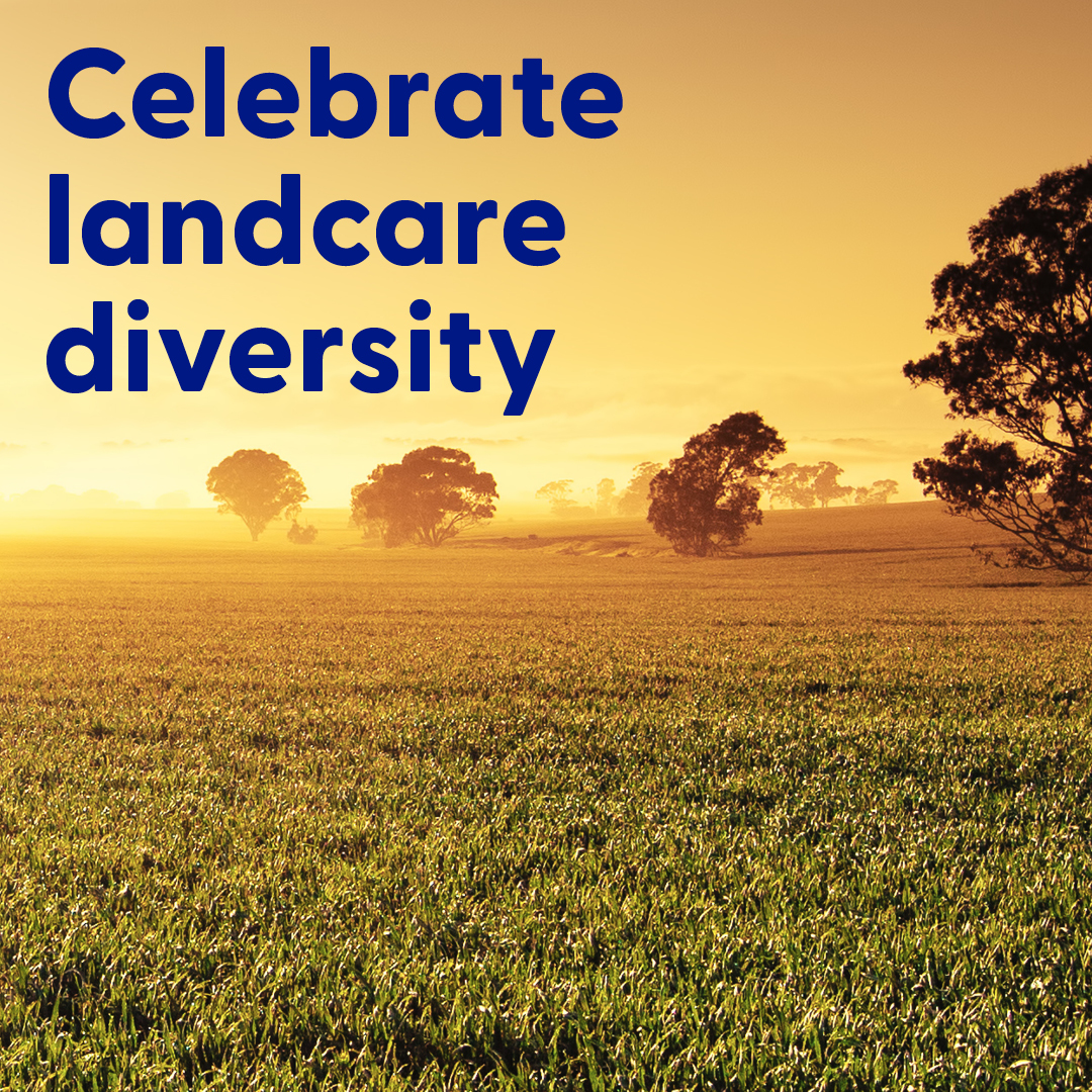 Utilitarian.World tweet media