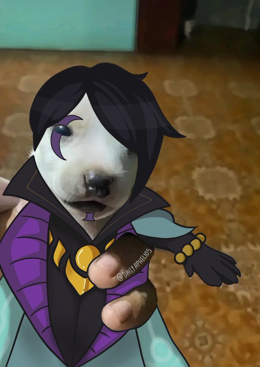 dailyaphelios's tweet image. he’s just a little guy