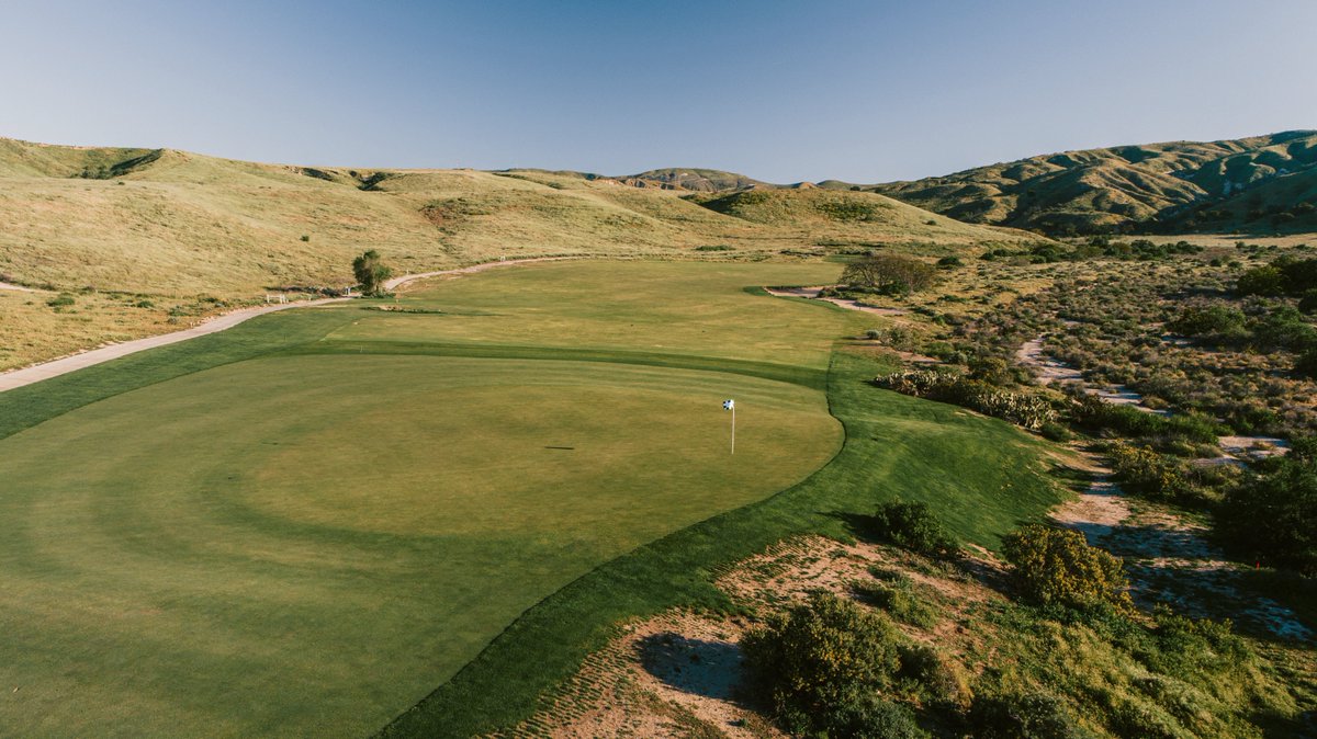 fried_egg_golf tweet picture