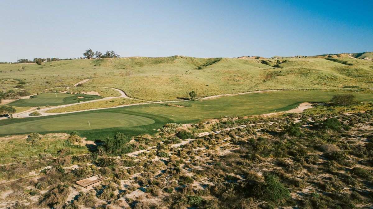 fried_egg_golf tweet picture