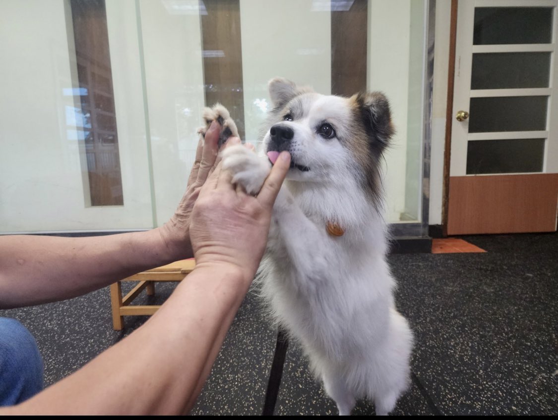 꺄아아아 아기야