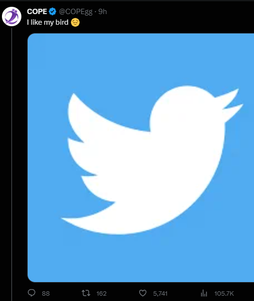 NotPandas's tweet photo. So um. I've been managing the @COPEgg account for a few weeks now and I have to say im really enjoying working with them! https://t.co/4z9b54mayn