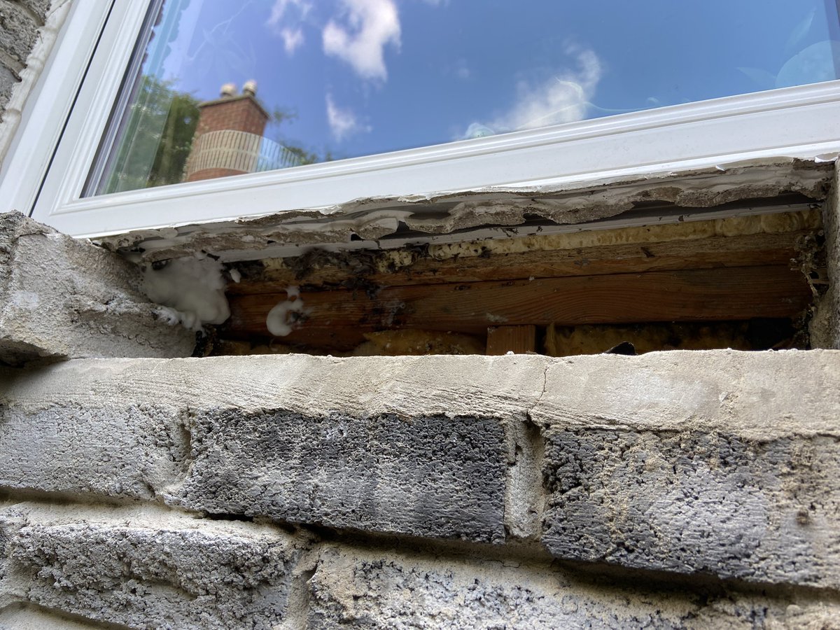 Catio day 2 is now wall repair day 1. The wasp nest was very not dead and was buried behind the bricks. This just became a MUCH bigger job. #wasps #homereno #jobcreep #facepalm