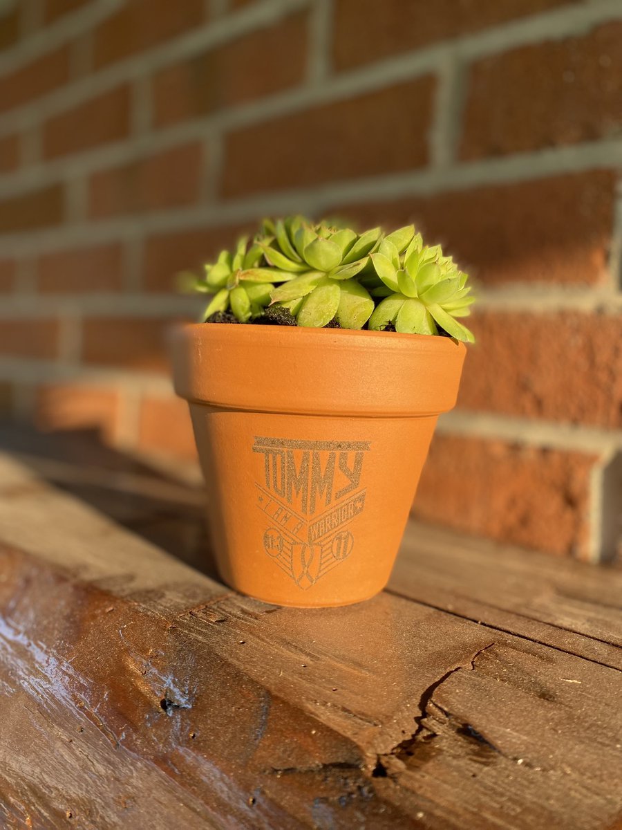 TeamTommyS's tweet photo. Look for the TeamTommy Inc tent at PlantFest on August 12th from 10-4 in downtown Bangor.  Grab a limited edition TeamTommy Inc succulent and terracotta pot engraved by our friends Tint Wurx Sign &amp; Graphics https://t.co/vXFxsfu1vQ