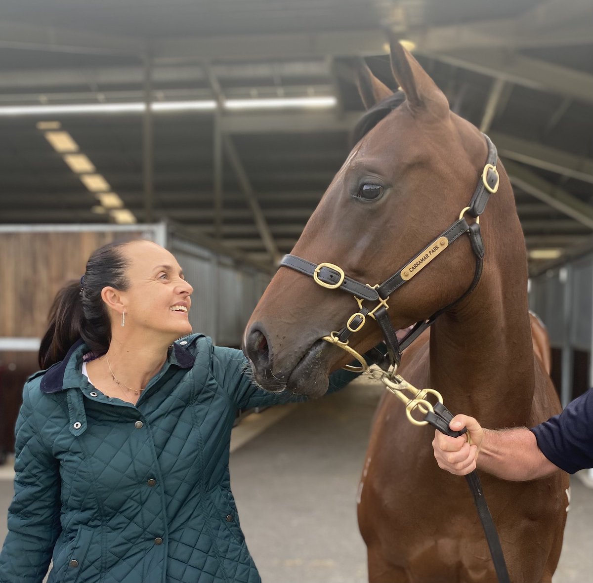 mcsmithracing's tweet image. Happy Birthday to the stars of the show 🎉

#TeamMCS 
#happybirthdayhorses
#lovethehorse