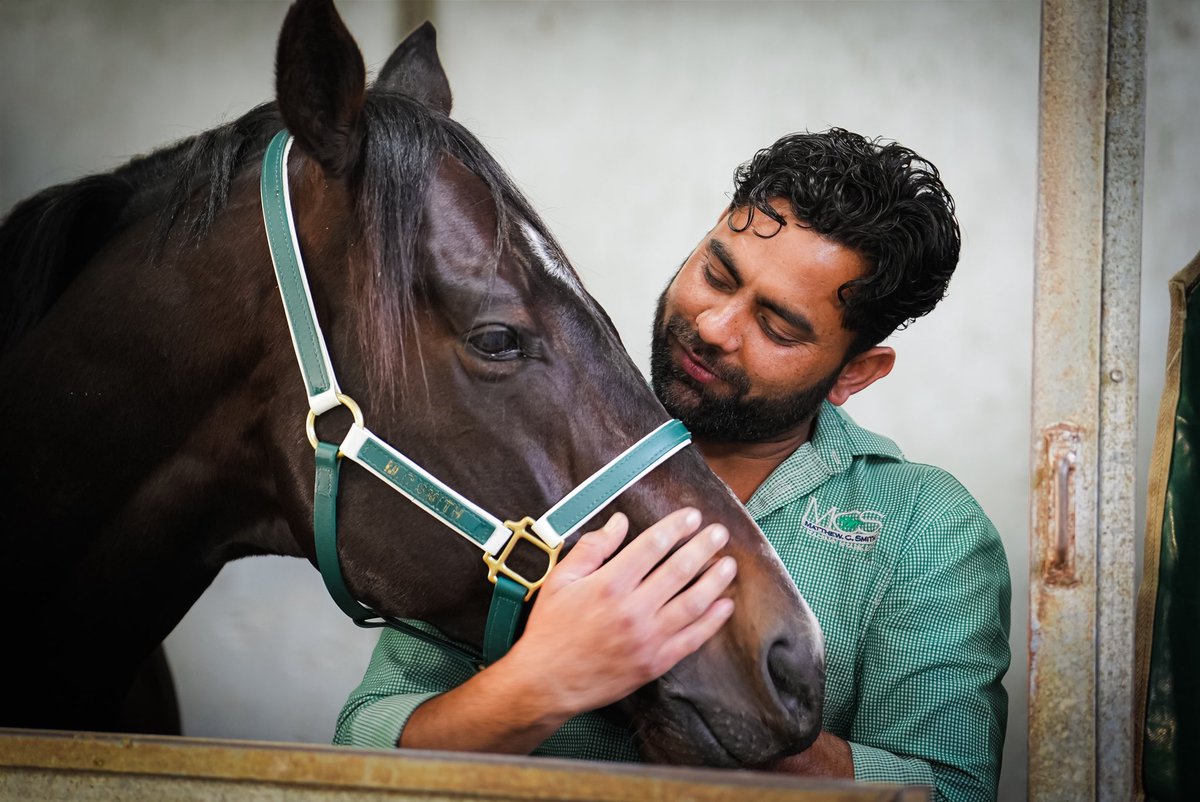 mcsmithracing's tweet image. Happy Birthday to the stars of the show 🎉

#TeamMCS 
#happybirthdayhorses
#lovethehorse