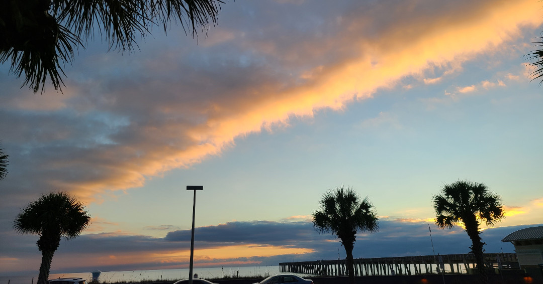 Ron Jon Surf Shop tweet media