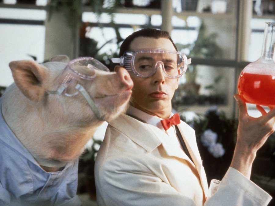 Lora Stocker tweet media