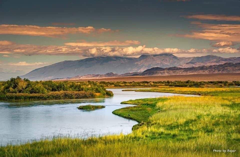 “Дадал сумын өглөө.
Хэнтий аймаг

Нар мандаад л ... Тэртээ зүүнтээ Онон Балжийн бургасаар манан суучихсан жинхэнэ үзэсгэлэнтэй харагдана …”
Зургийг Б. Баяр 

ӨГЛӨӨНИЙ МЭНД 🌤️