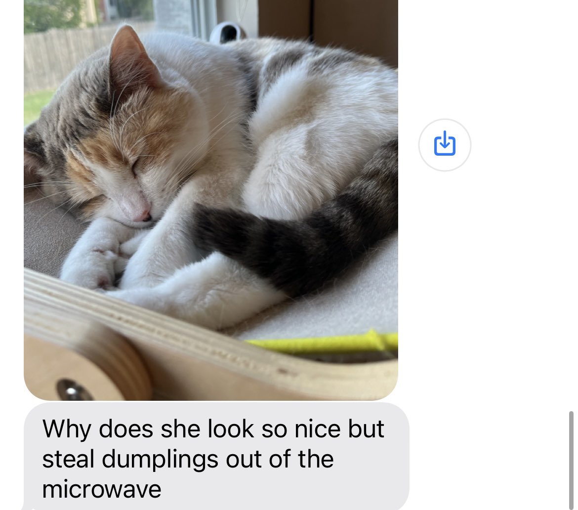 fatfatpankocat's tweet photo. https://t.co/NzBjt5xg1L