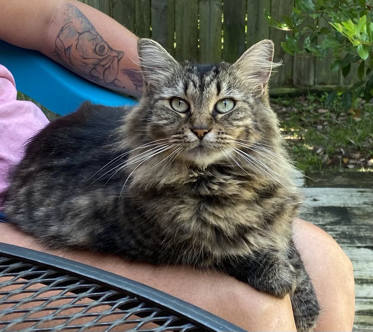 Cathy Palmer (@cp_sonoma) on Twitter photo 