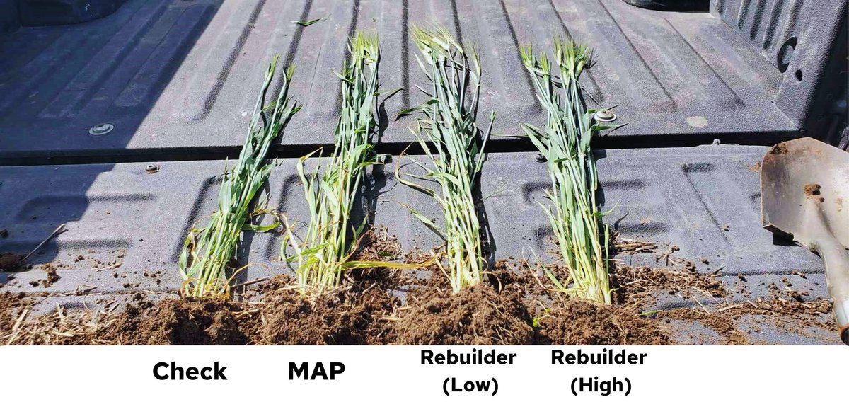 Replenish Nutrients tweet media