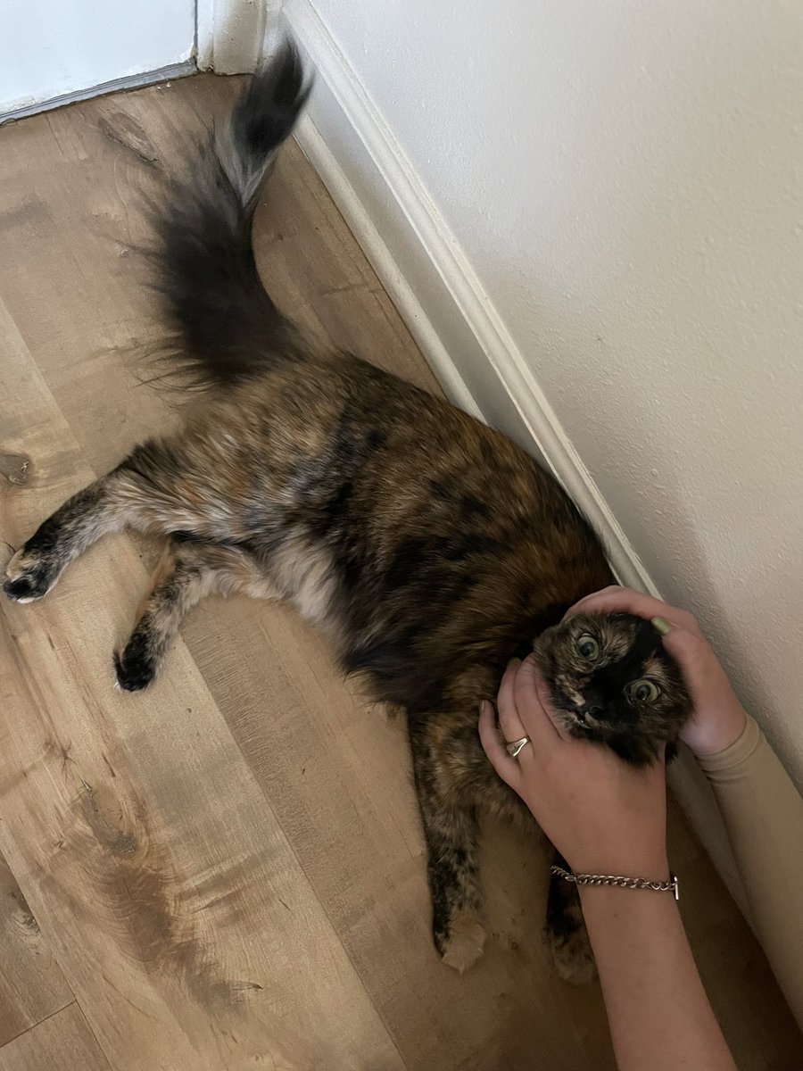 gay wizard zone tweet media