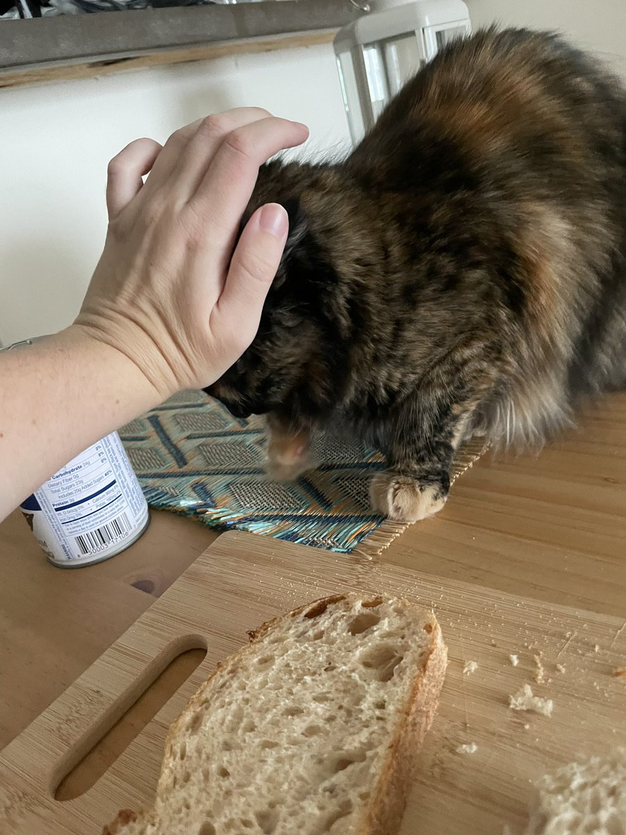 gay wizard zone tweet media