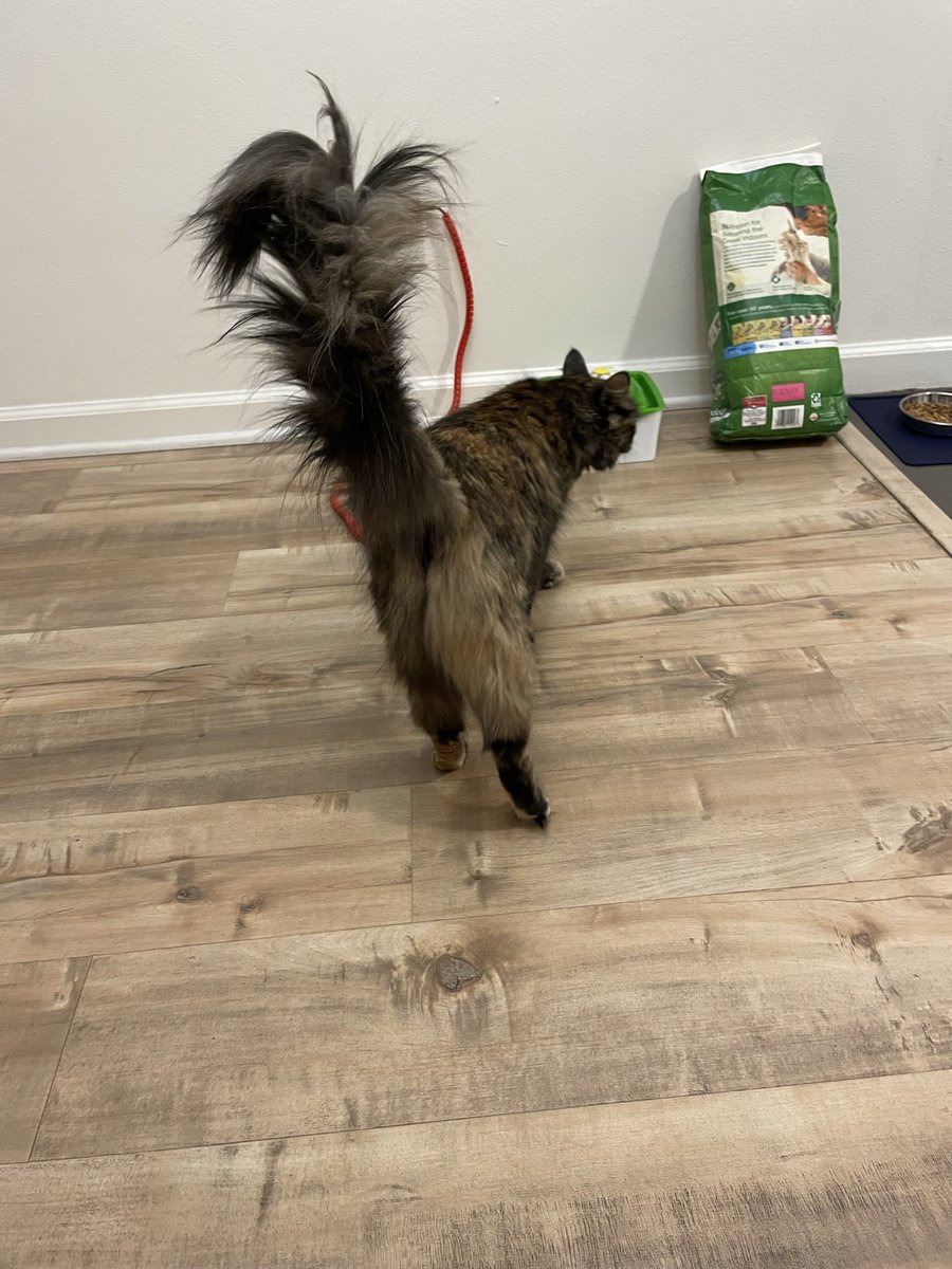 gay wizard zone tweet media