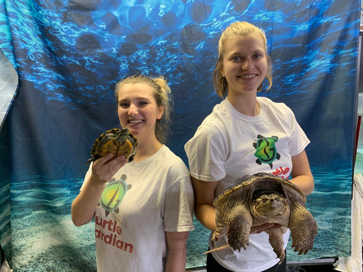 The Turtle Guardians will be at the Dysart branch tomorrow! Stop by between 12-2pm to meet the turtles and learn more about them from the turtle experts. No registration required.
Can't make it? The Turtle Guardians will be at the Minden Hills branch on August 26th!