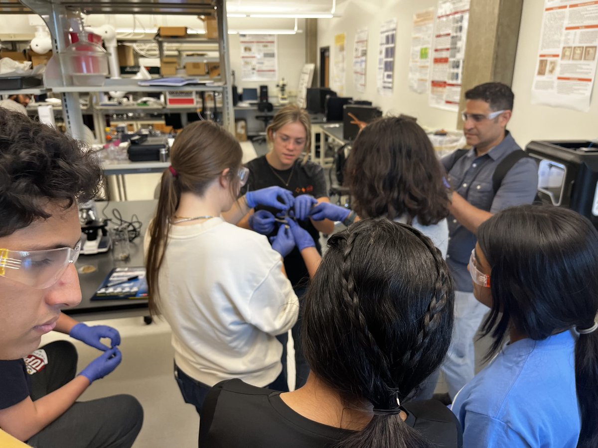 Andres Tovar tweet media