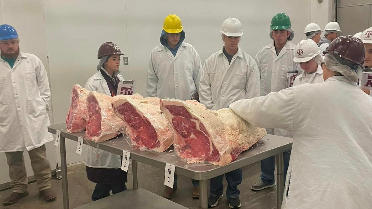 Animal Science-TAMU tweet media