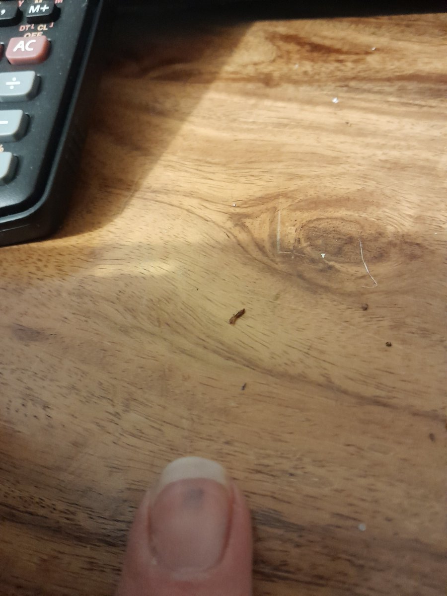DanceHayday's tweet photo. Don't let anyone tell you academic work isn't physical... just dropped my pc tower on my middle finger... that's a through and through if ever I saw one 😂 writing is going swimmingly 😂 #policing #protest #AcademicTwitter https://t.co/lizFouhGOg