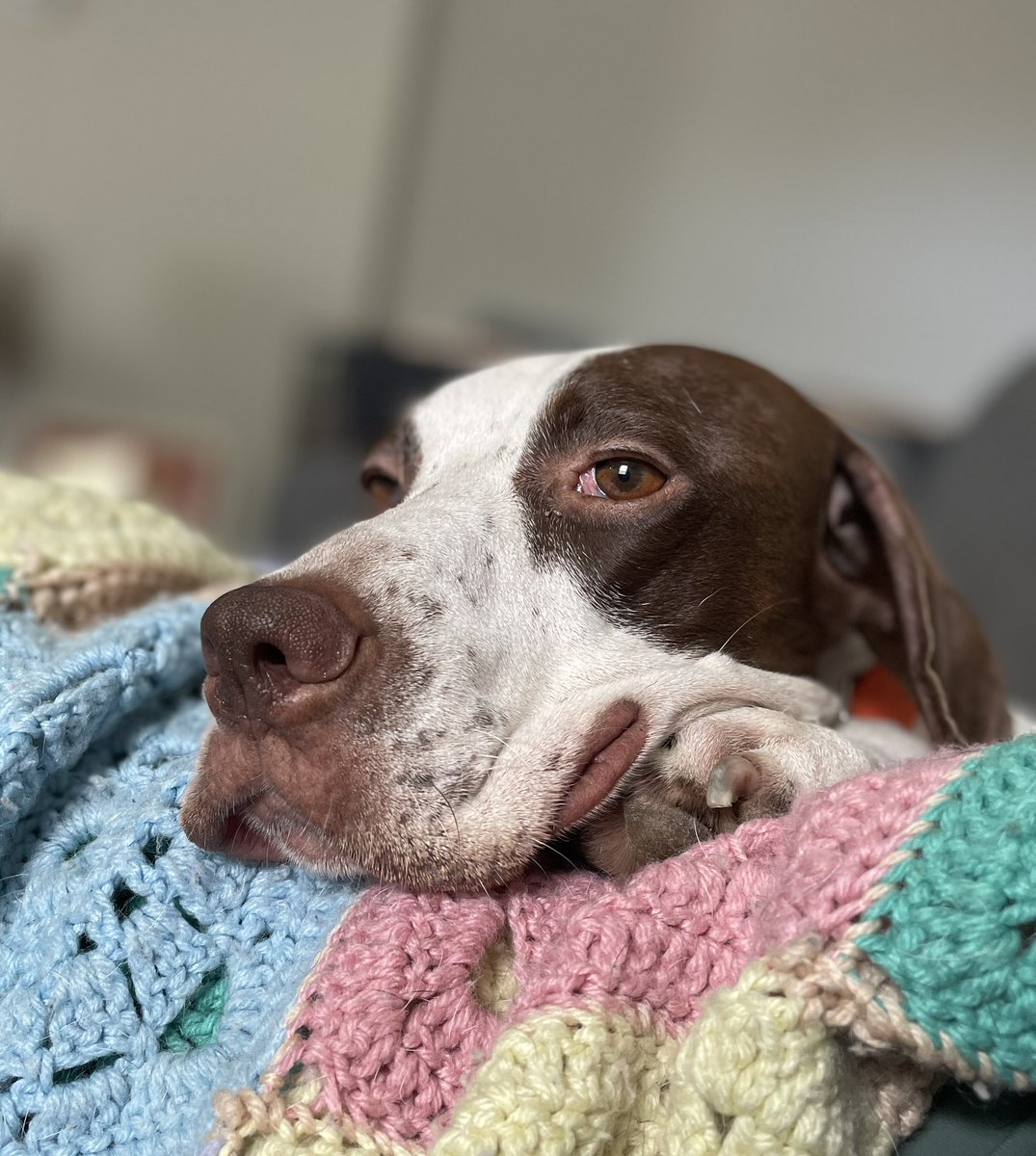 Leslie's Discount Tweet Emporium tweet media