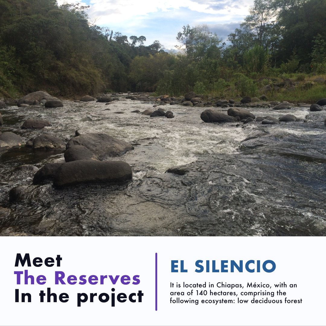 BioA3_Official's tweet photo. #Reserves: Through alliances with private natural reserves, we bring security and change to the cryptocurrency world!

📍 Follow us in our socials https://t.co/r5GYDGwsTS
#bioa3 #cryptonews #crypto #altcoin https://t.co/J7esOtX9Nq