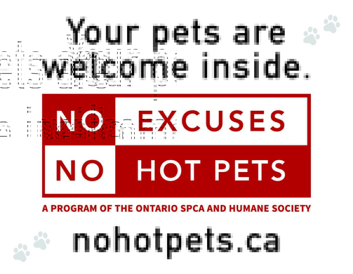 Keeping pets safe during the summer months is a whole community effort. If you’re a local business looking to promote keeping pets safe this summer, we have a great way for you to get involved! Learn more on our blog: bit.ly/44P527R