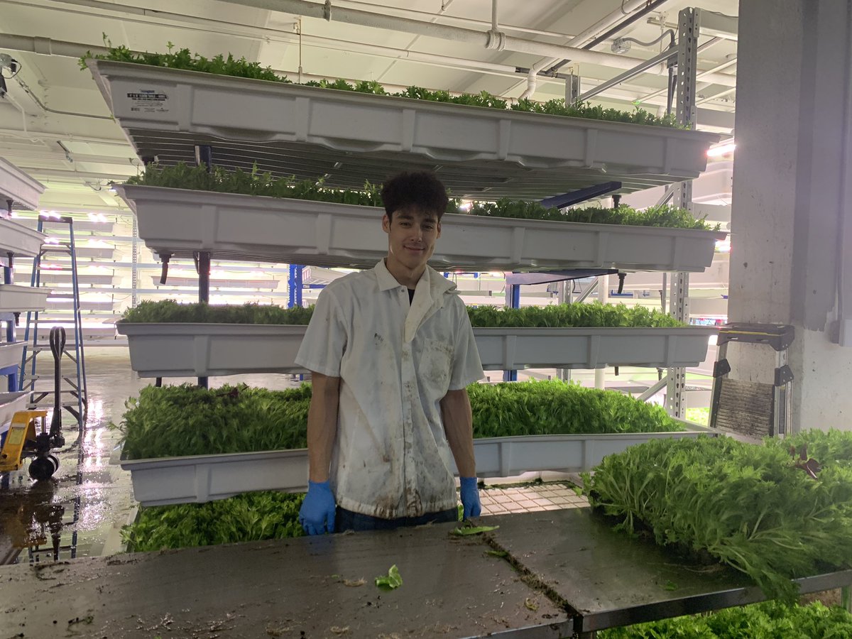 Ohio State ATI Greenhouse Program tweet media